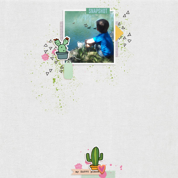 Snapshot