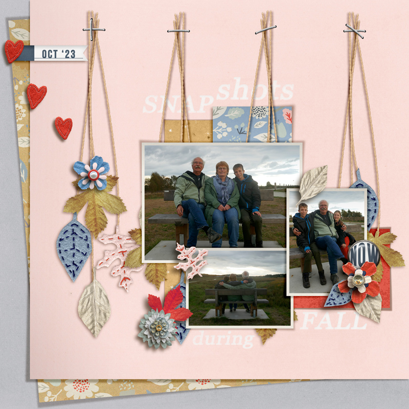 Snapshots During Fall