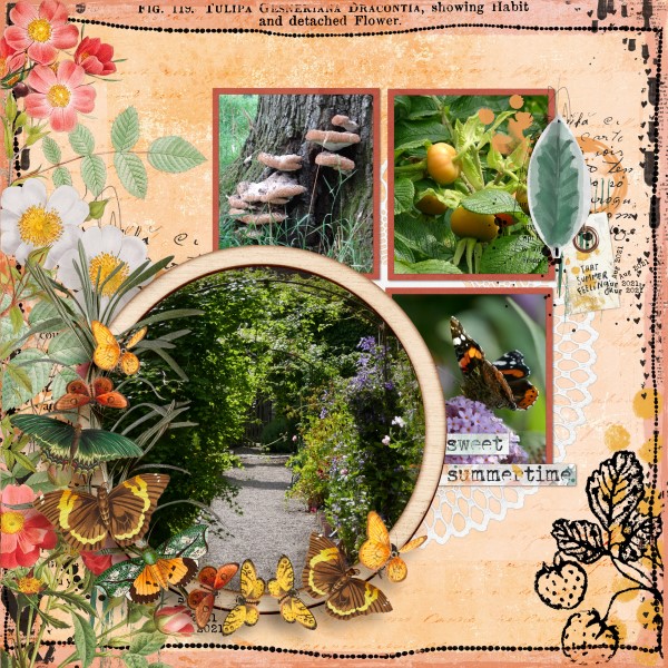 Snapshots of Summer