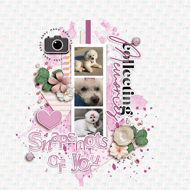 Snapshots Of You