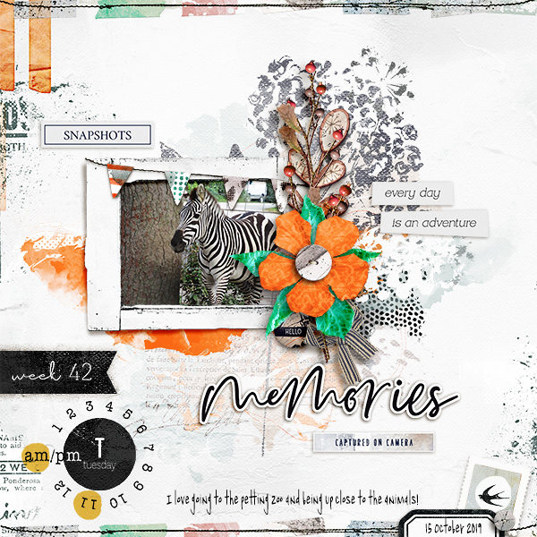 Snapshots