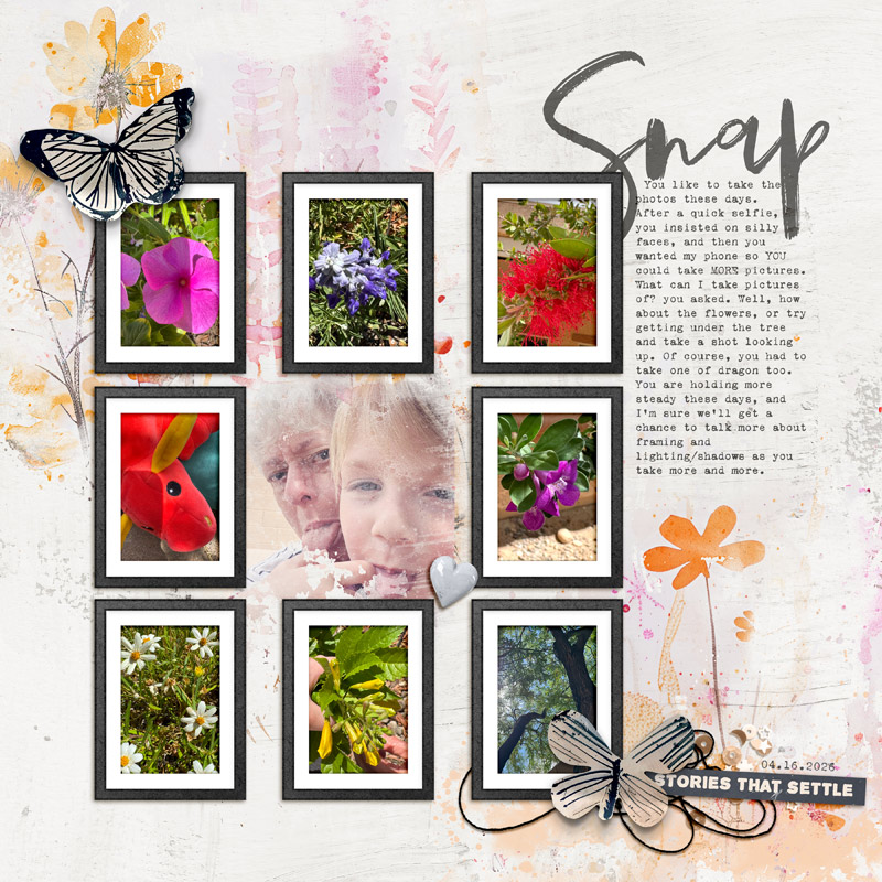 Snapshots