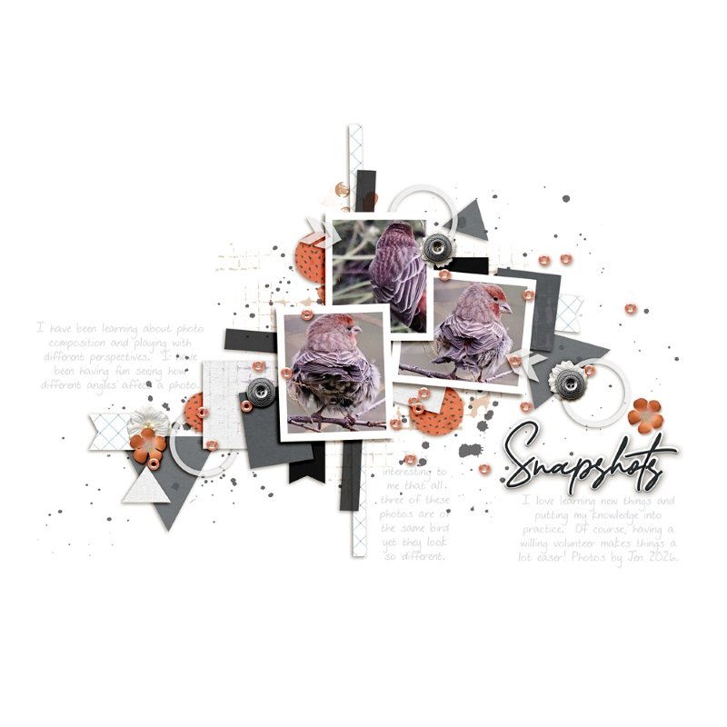 Snapshots