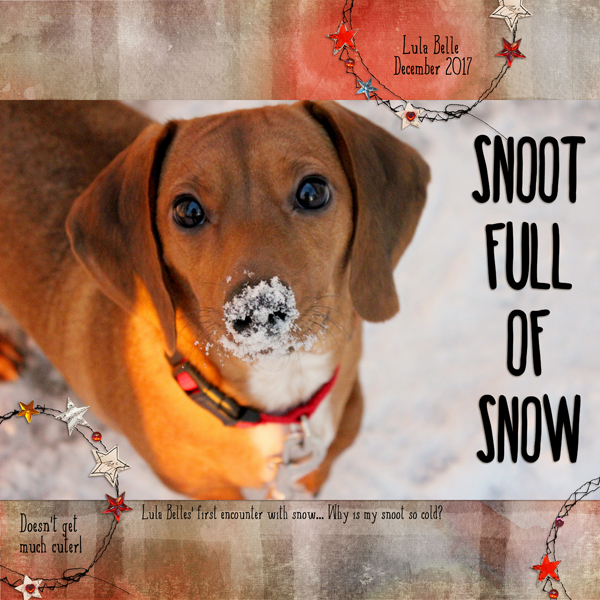 Snoot Full Of Snow