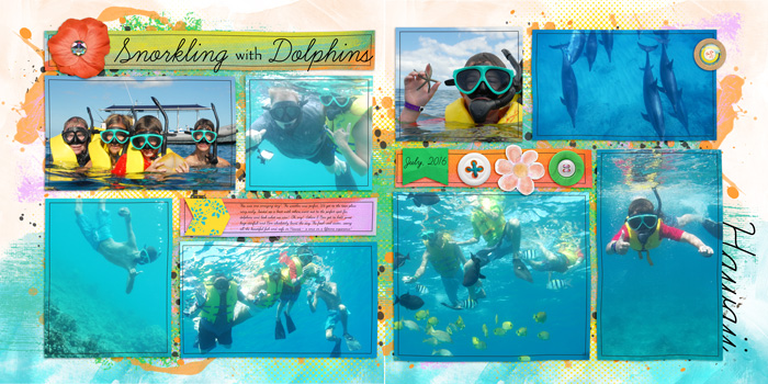 Snorkling with dolphins