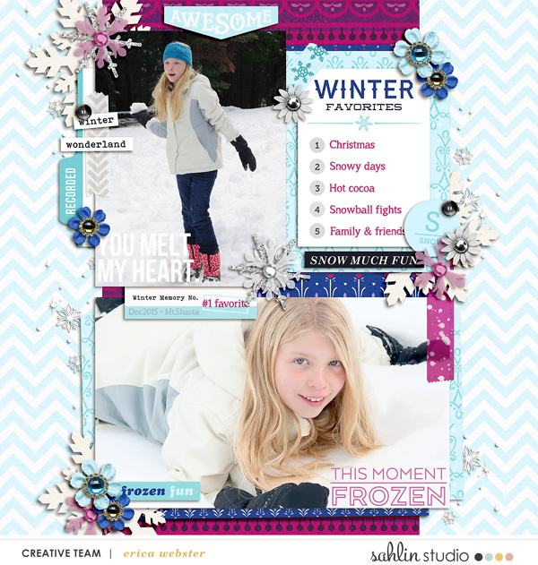* Snow 2015 *