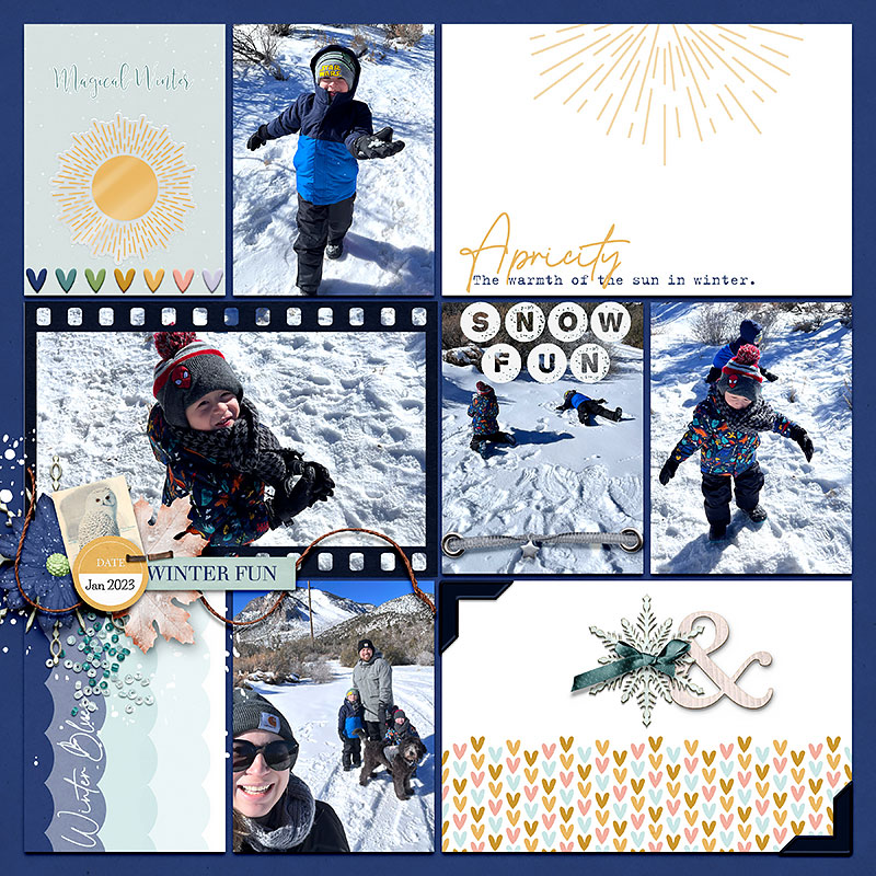 Snow-apricity