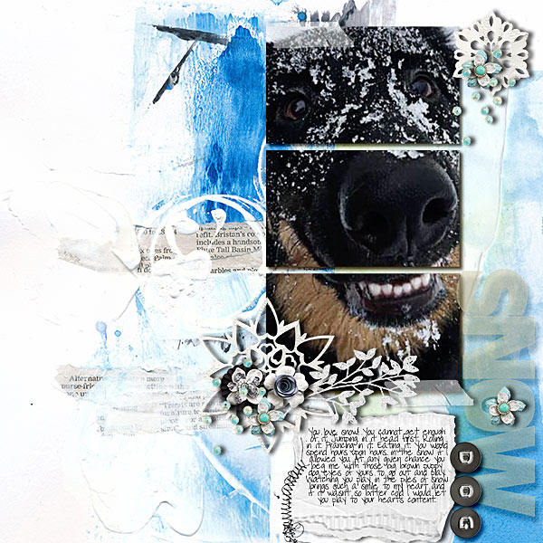 Snow Dog