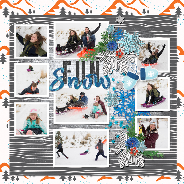 Snow Fun