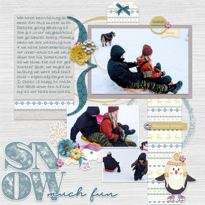 SNOW-much-fun-sledding