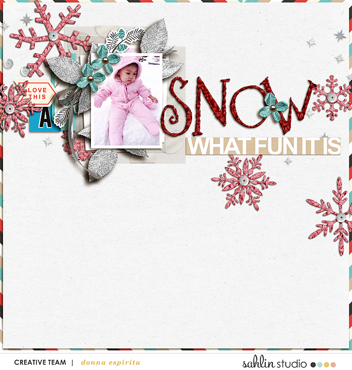 SNOW WHAT FUN IT IS