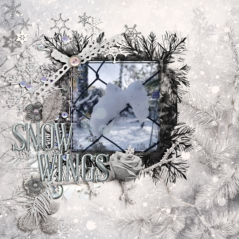 Snow wings