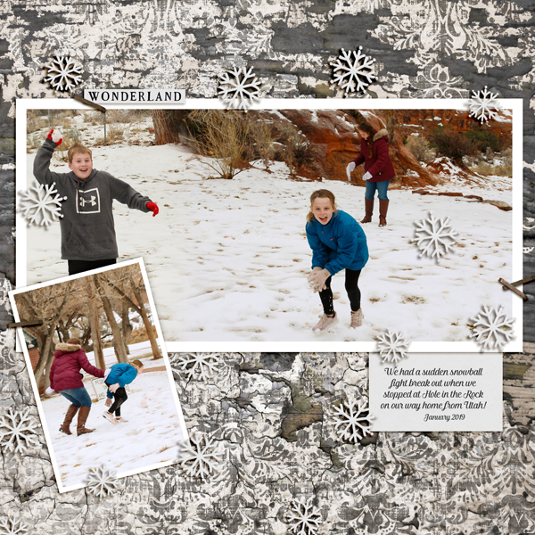 SnowballFight