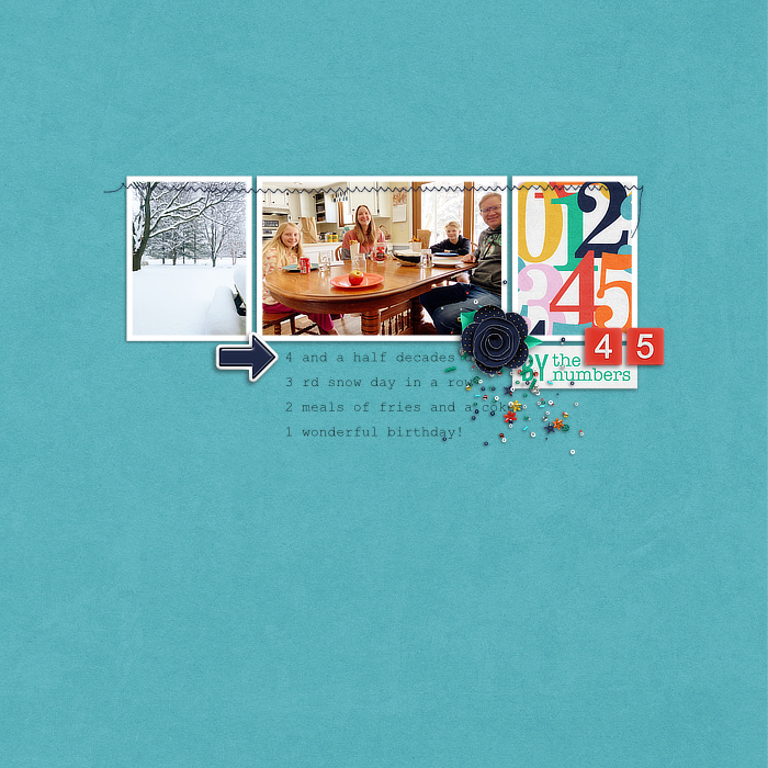 SnowBirthdayweb7