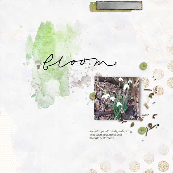 Snowdrops (Custom)