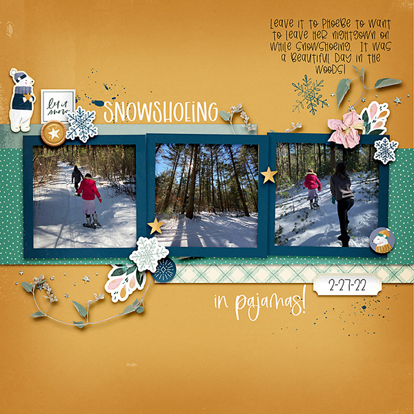 Snowshoeing 2022