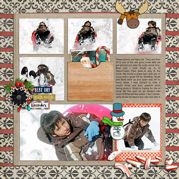 Snowy Days