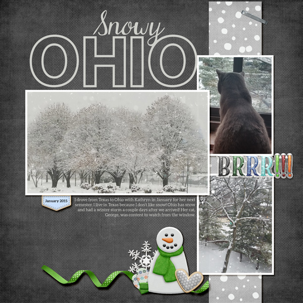 Snowy Ohio Web