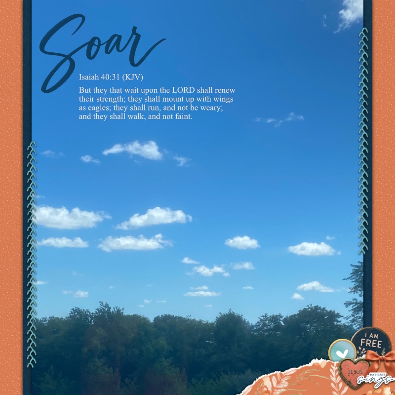 Soar