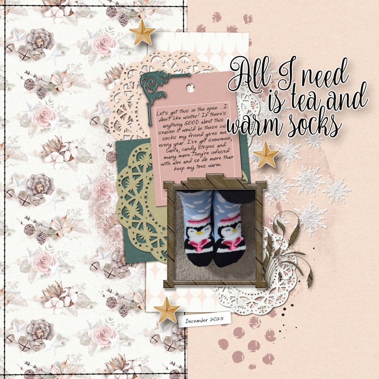 socks2.jpg