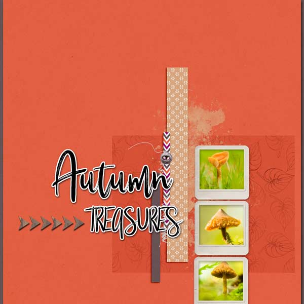 Soco_autumntreasures_SimplyCleanNo5_01