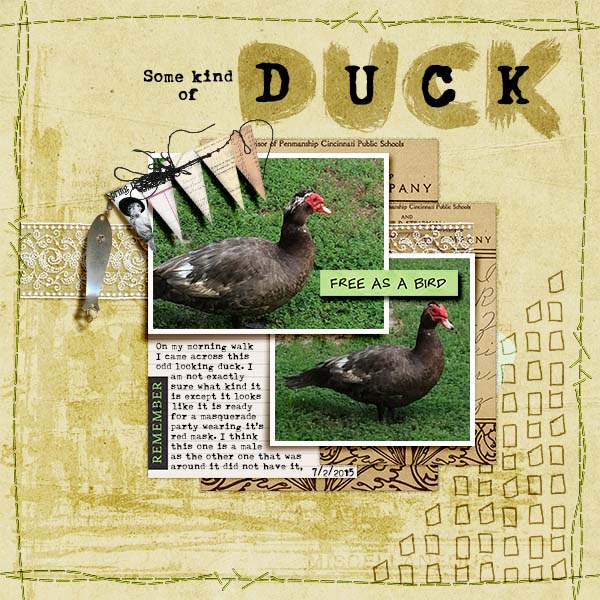 Some kind of Duck (speed scrap 7/14)