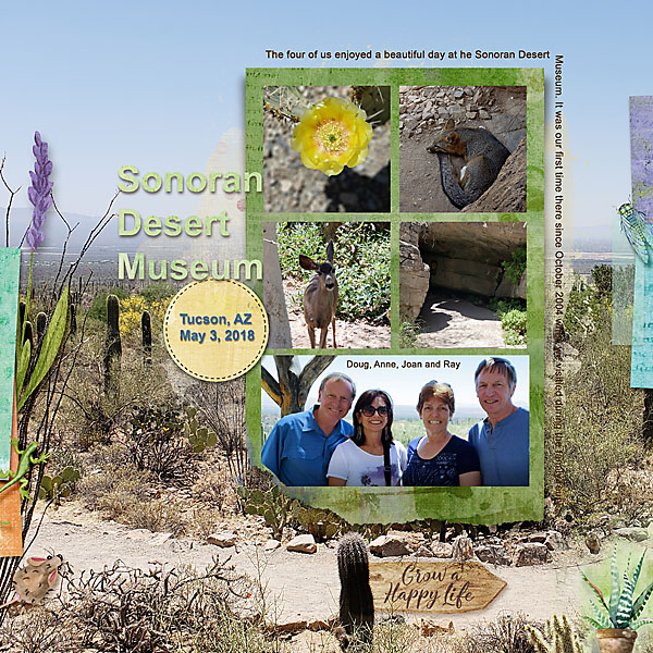 Sonoran Desert - DI May Chall.web