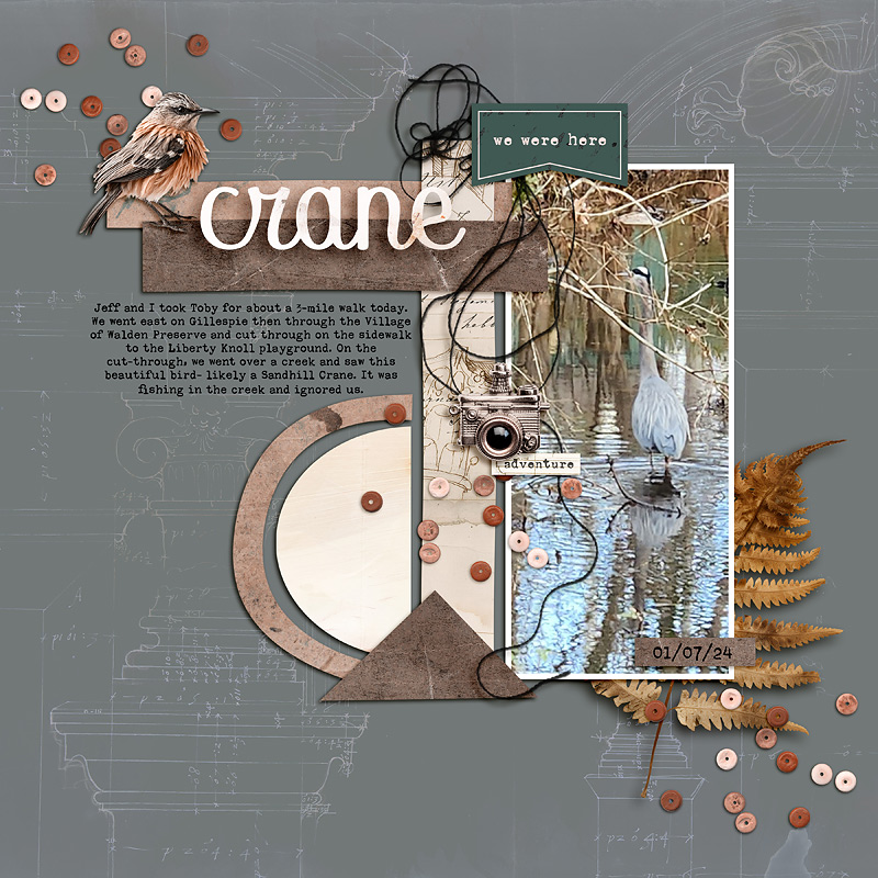 SOSN January 10- crane