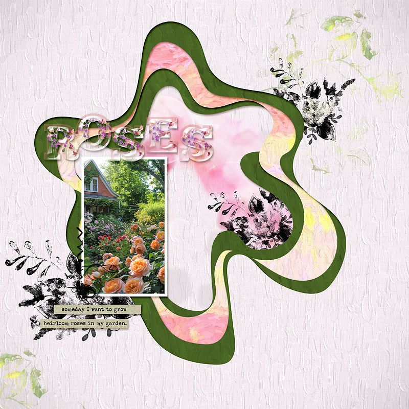 SOSN June 5- roses