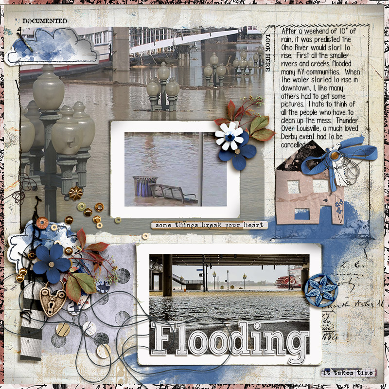 SOSN_apr16_RJ_LG_Flooding