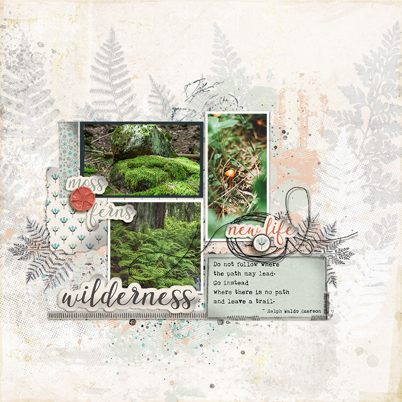 SOSN_apr9_LM_LG_Wilderness