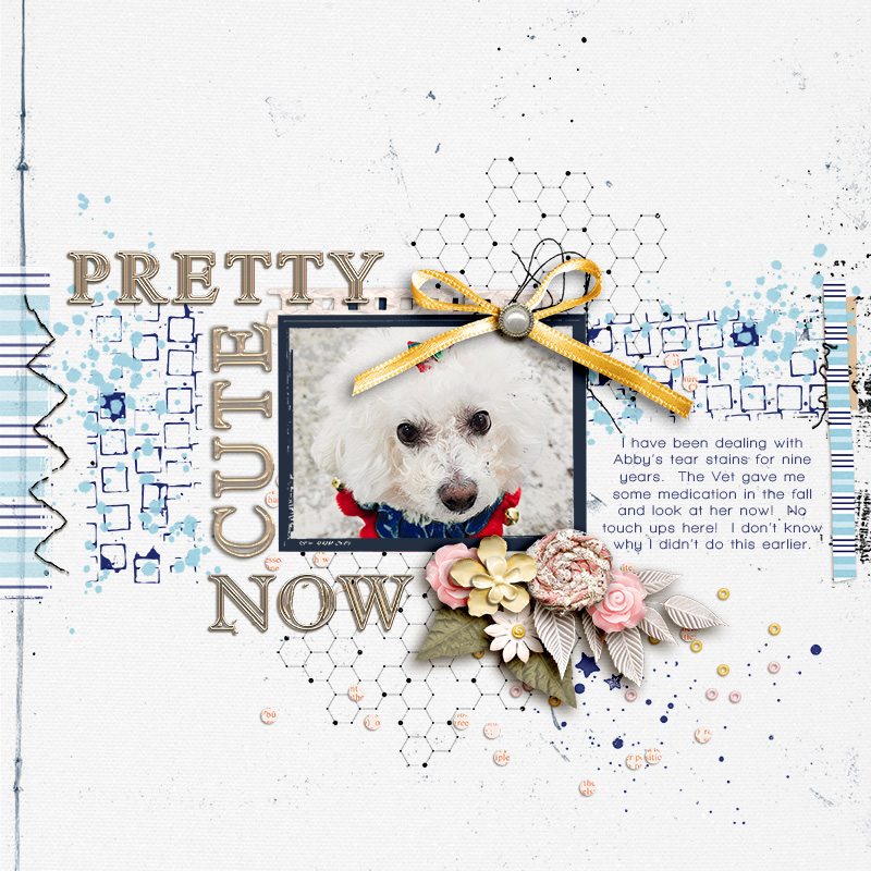 SOSN_feb12_ngd_RJ_Pretty Cute Now