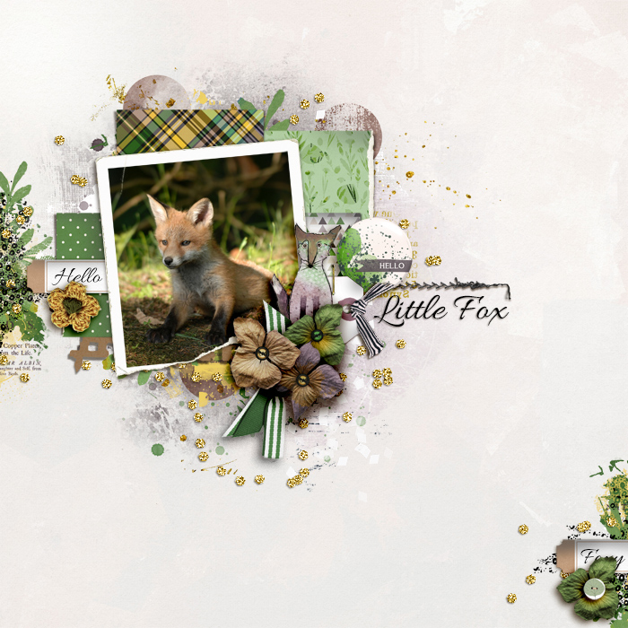 SOSN_feb9_LG_Little Fox