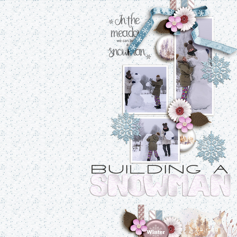 SOSN_jan15_dbi_AD_Building A Snowman