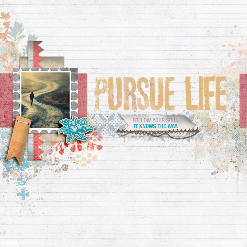 SOSN_jul16_LM_EHS_Pursue Life