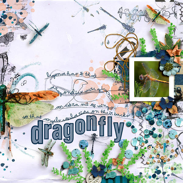 SOSN_july27_RJ_Dragonfly