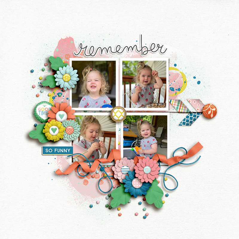 SOSN_jun5_BB_LG_Remember
