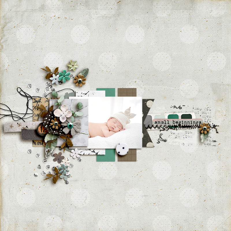 SOSN_mar19_RJ_SG_Small Beginnings