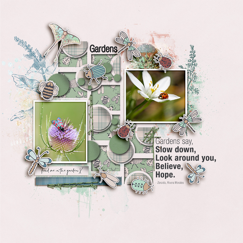SOSN_may21_LM_JJD_Gardens