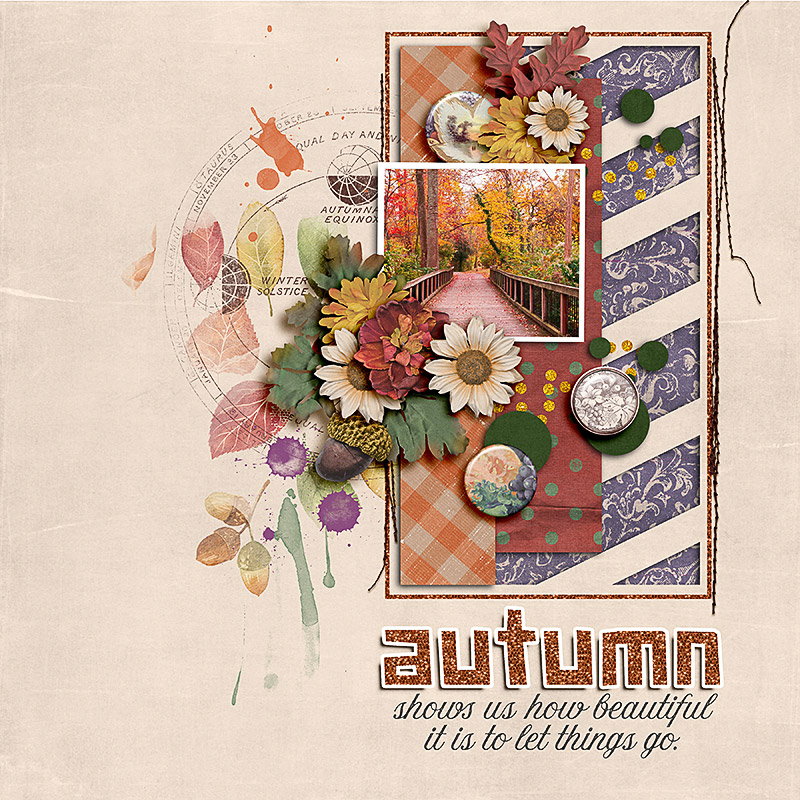 SOSN_sept20_AWA_JJD_Autumn