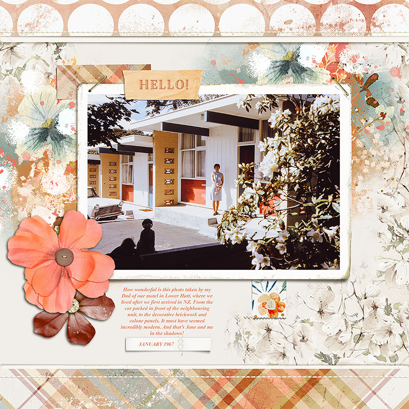South Pacific Motor Inn