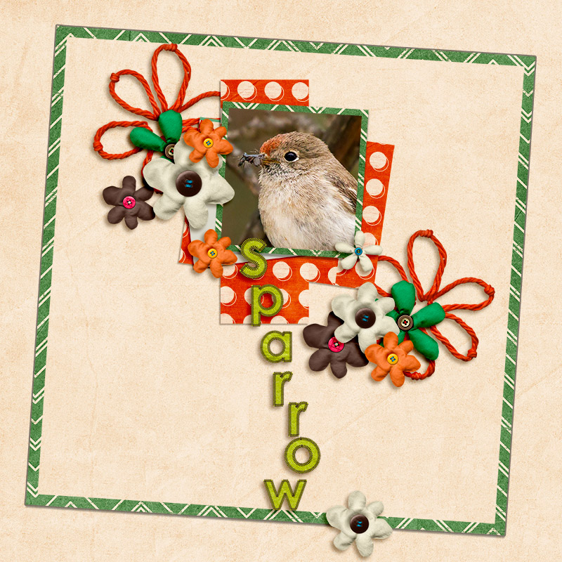 Sparrow