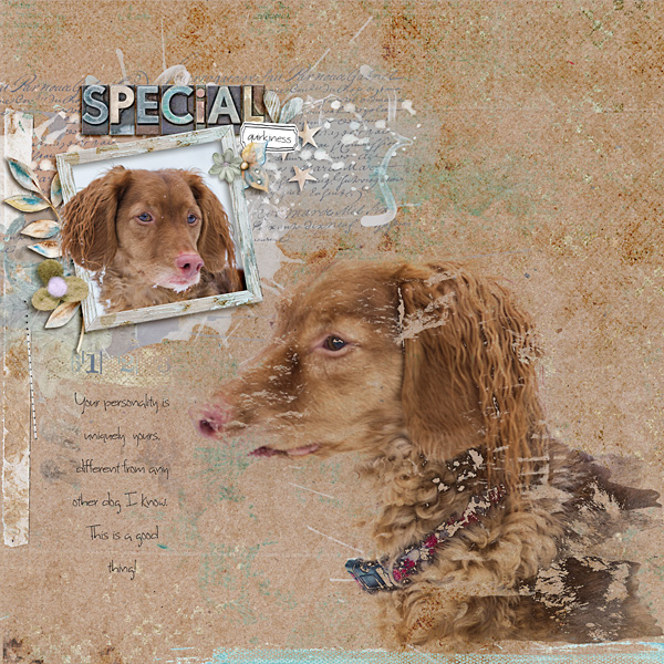Special Quirkiness