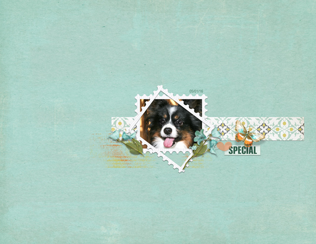Special