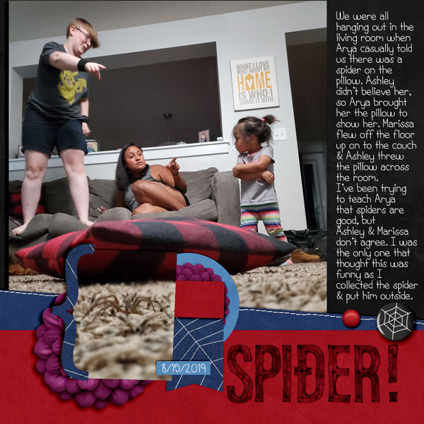 Spider
