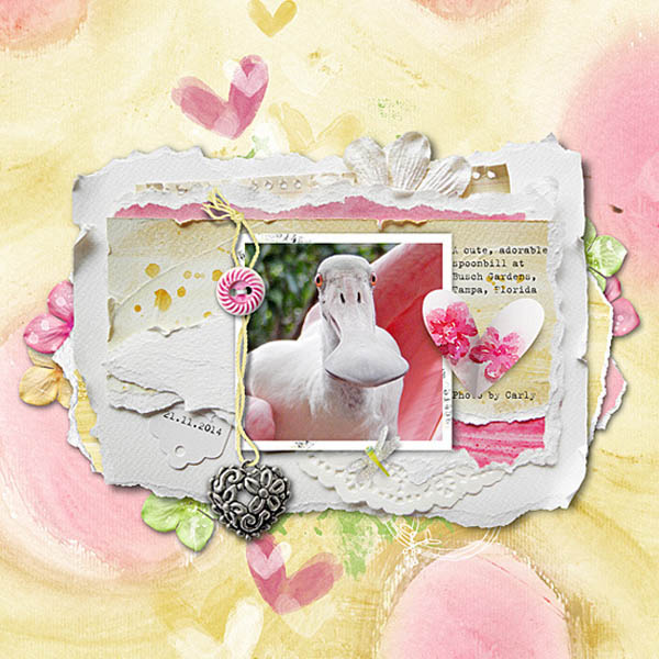 spoonbill