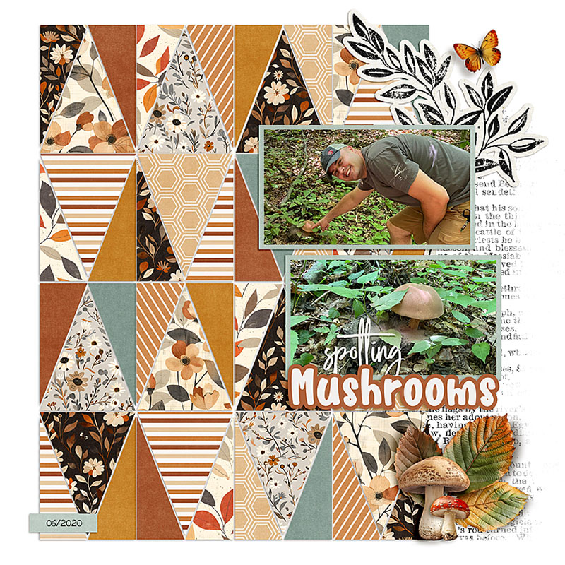 Spotting mushrooms