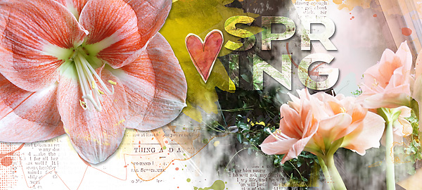 Spring FB Timeline