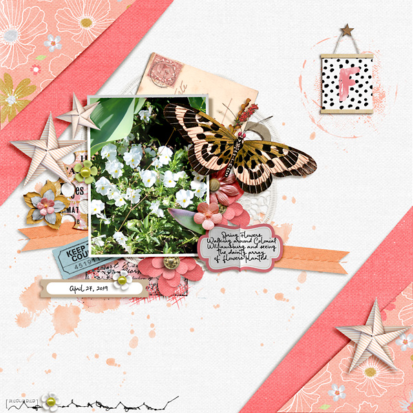 Spring Flowers