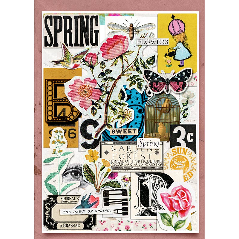 SPRING FLOWERS